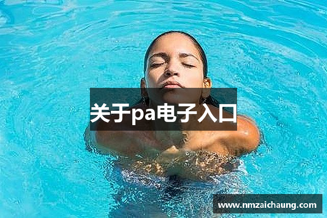 关于pa电子入口