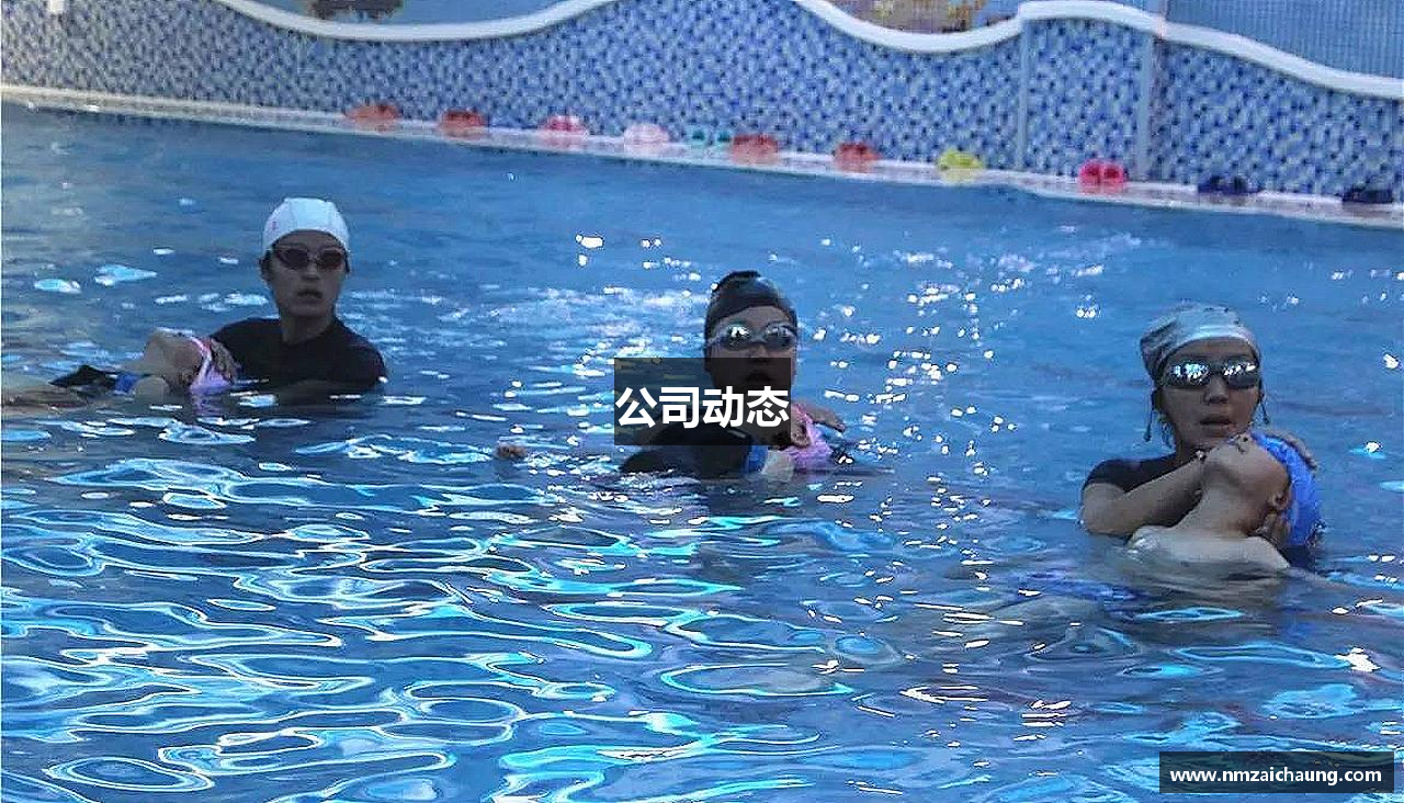 公司动态