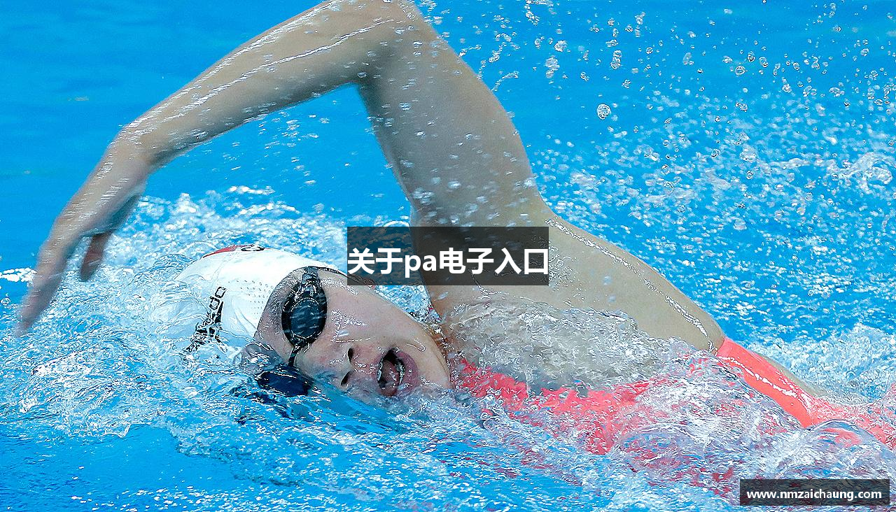关于pa电子入口
